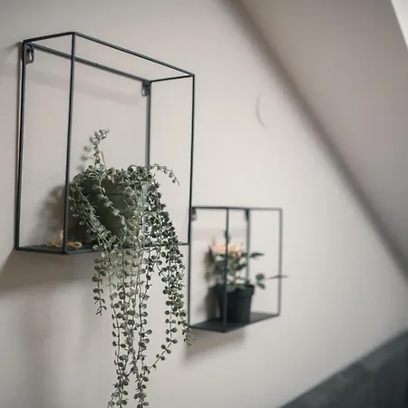 Manoir Center Apartment